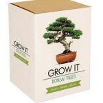 Grow it – Bonsai