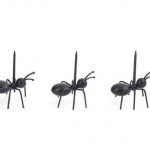 Párty mravenci