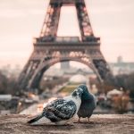 Není romantičtější dovolené než v Paříži